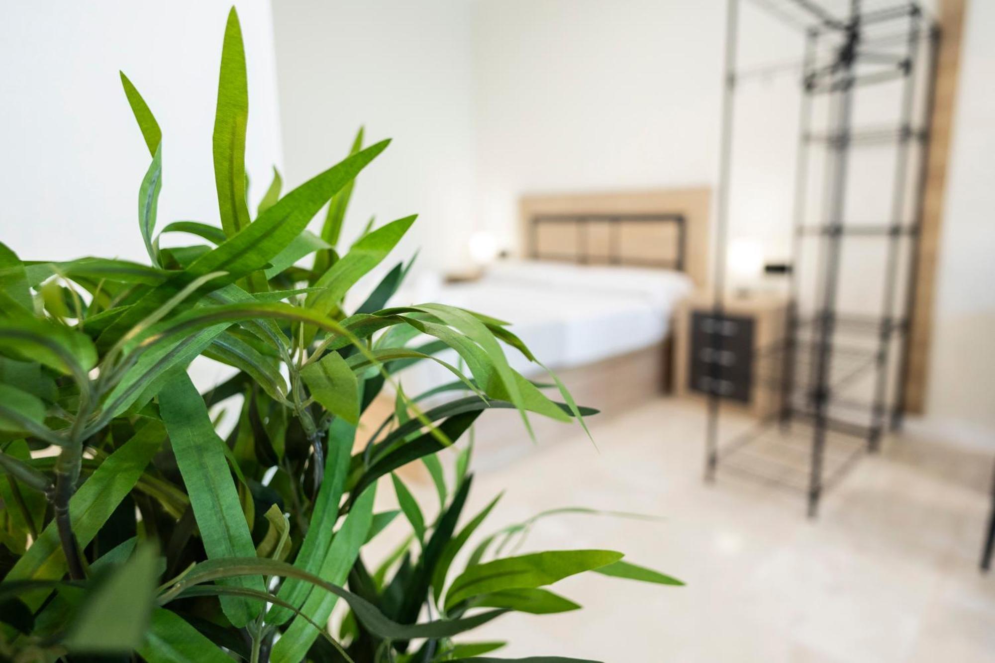 Vera Garden By Concept Flats Βαλένθια Εξωτερικό φωτογραφία